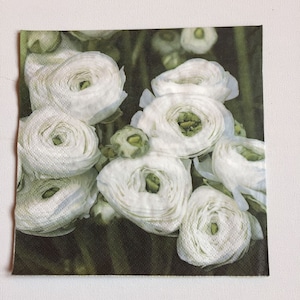 Paper Napkins For decoupage White Roses Set 4