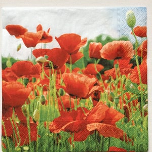 Tovaglioli Di Carta Per Decoupage Set 4 Campo Di Papaveri