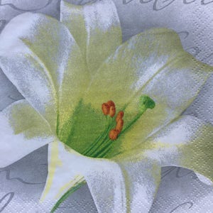 Decoupage Paper Napkins Set 4 Lily