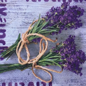 Paper Napkins For Decoupage Set 4 Lavender Design Napkins