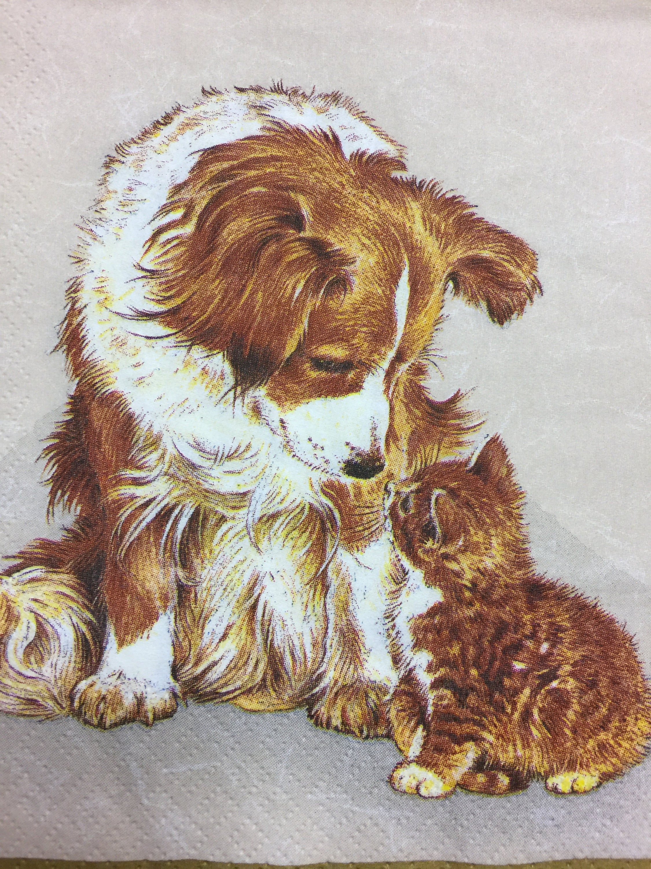 Paper Napkins for Decoupage Dog and Cat Set 4 Design Napkins Etsy
