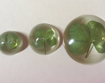 Set of 3 Real Four Leaf Clovers