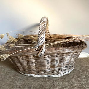 May include: An oval-shaped woven wicker basket featuring a single arched handle and a weathered brown finish. The basket contains several dried, light-tan botanical stems with delicate, umbrella-shaped flower heads extending outward.