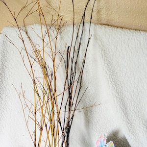 May include: A collection of dried, thin branches in shades of brown and yellow. Decorative paper butterflies in pink and blue are positioned near the branches. The backdrop is a white, textured fabric.