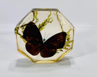 Vintage Butterfly Paperweight – 1970s Lucite Resin Insect Decor, Red Butterfly & Foliage Display Gift Ready Charm