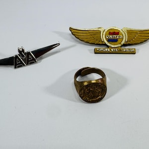 United Airline's Pilot Wing Pin - Etsy