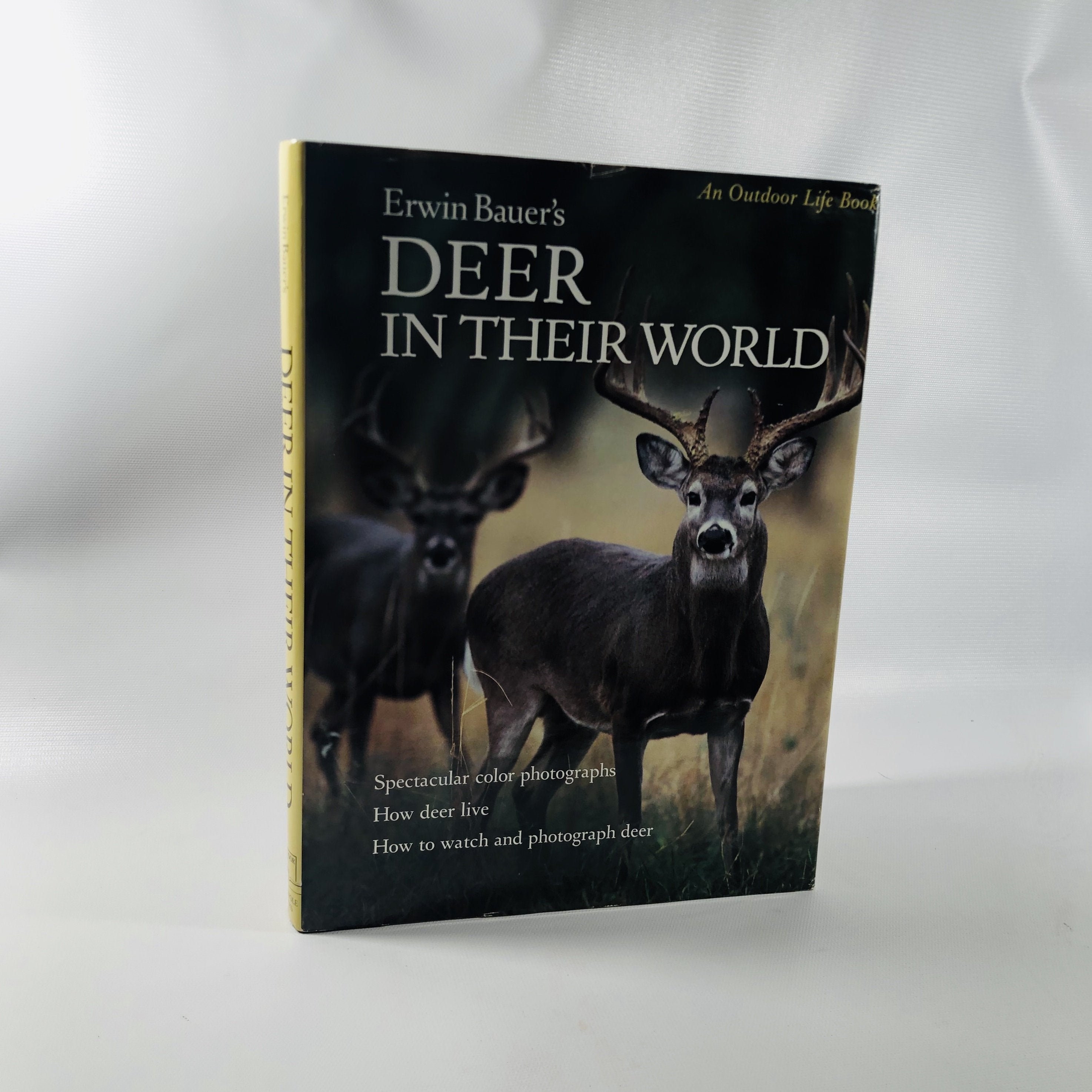 Deer in Their World by Erwin Bauer an Outdoor Life Book 1983 