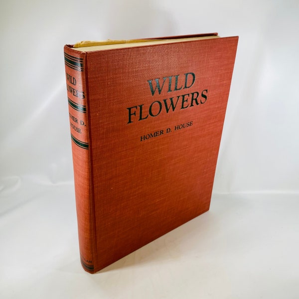 Wild Flowers Book Etsy