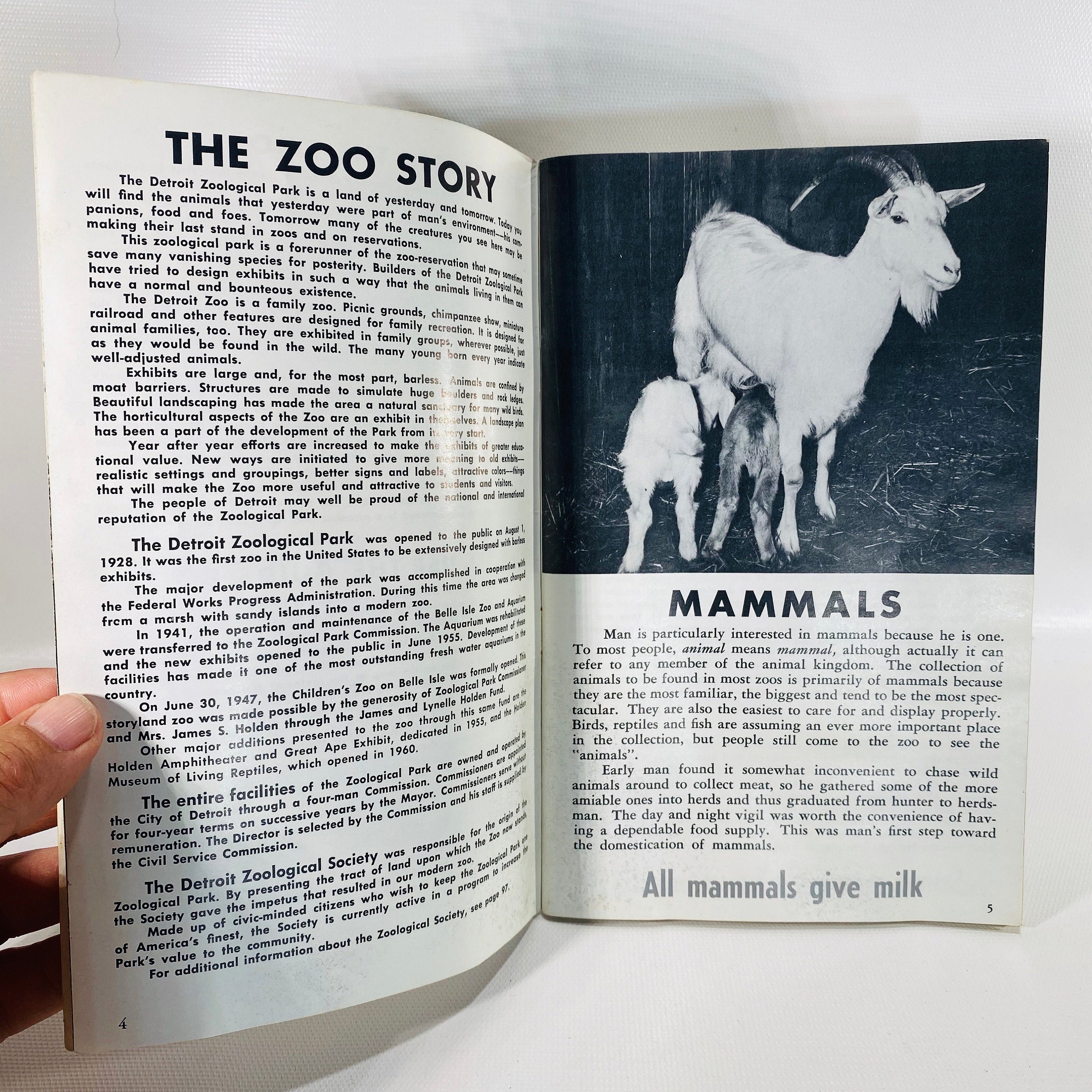 Detroit Zoo Guide Book by the City of Detroit Zoological Park Etsy