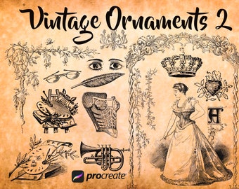 70 Procreate Vintage Ornaments, Antique Procreate stamps, Procreate vintage ephemera , Old frames stamps