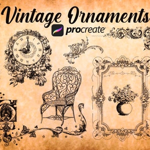 60 Procreate Vintage Ornaments, Antique Procreate stamps, Procreate , Old frames stamps