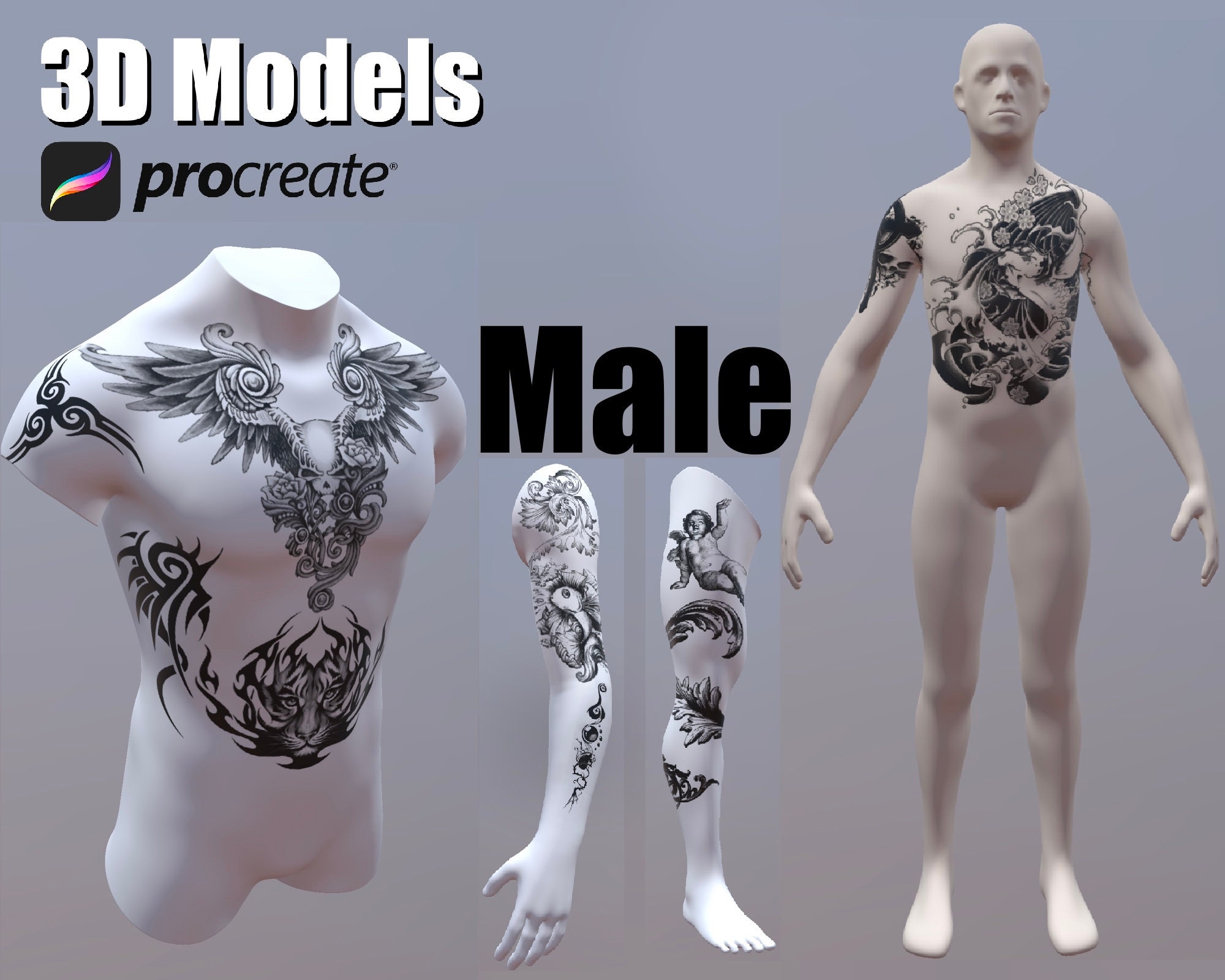 Procreate 3D male model,  Procreate Tattoo model, 3D man model, 3D body model, 3D arm model, 3D leg model, model for tattoo artists