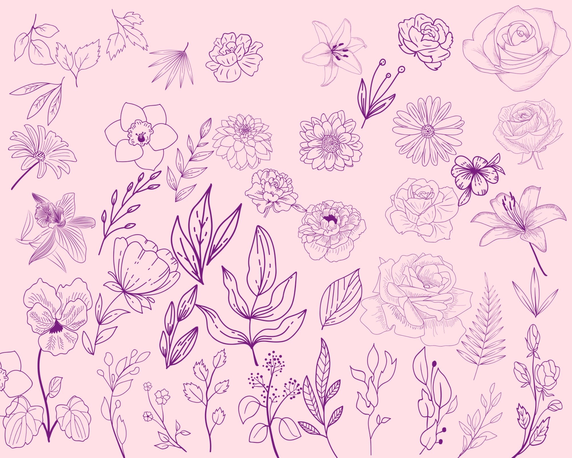 Flowers procreate stamps Floral procreate brushes procreate Etsy