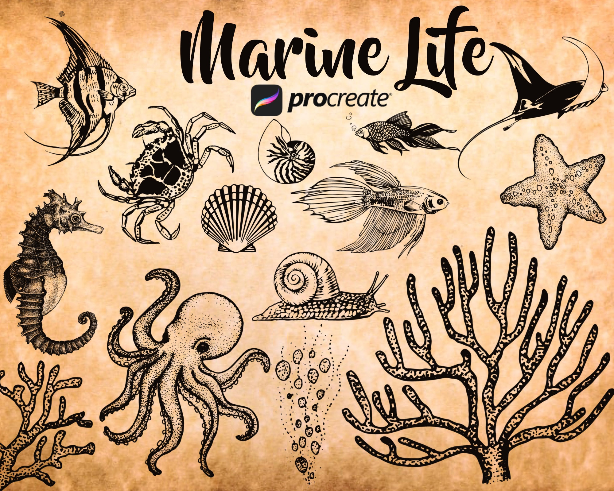 Sea Life Vector Sketch Set Stock Vector by ©igorij 4090909