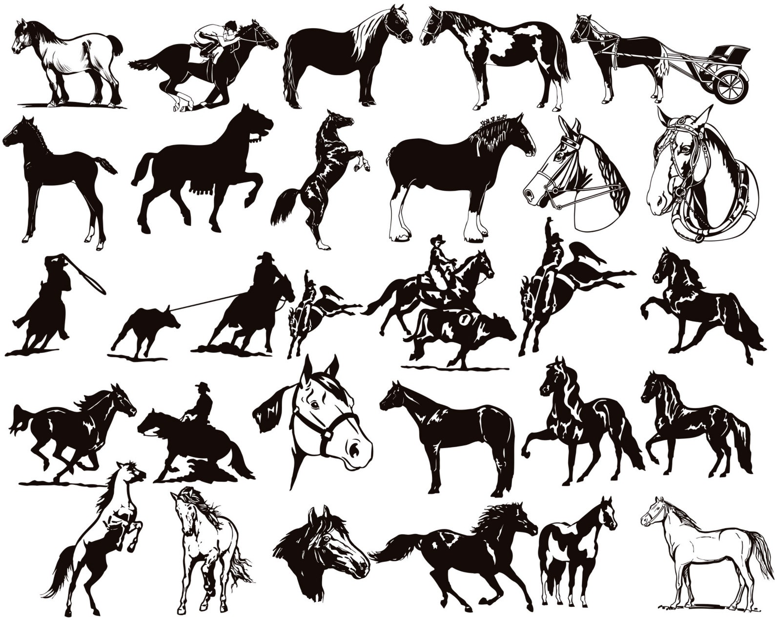 Procreate Horse Stamps Horses Brushes for Procreate Animal Etsy