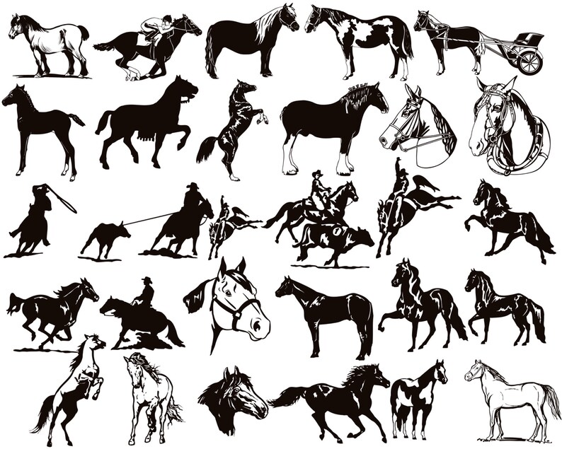 Procreate Horse Stamps Horses Tattoo Brushes for Procreate Etsy