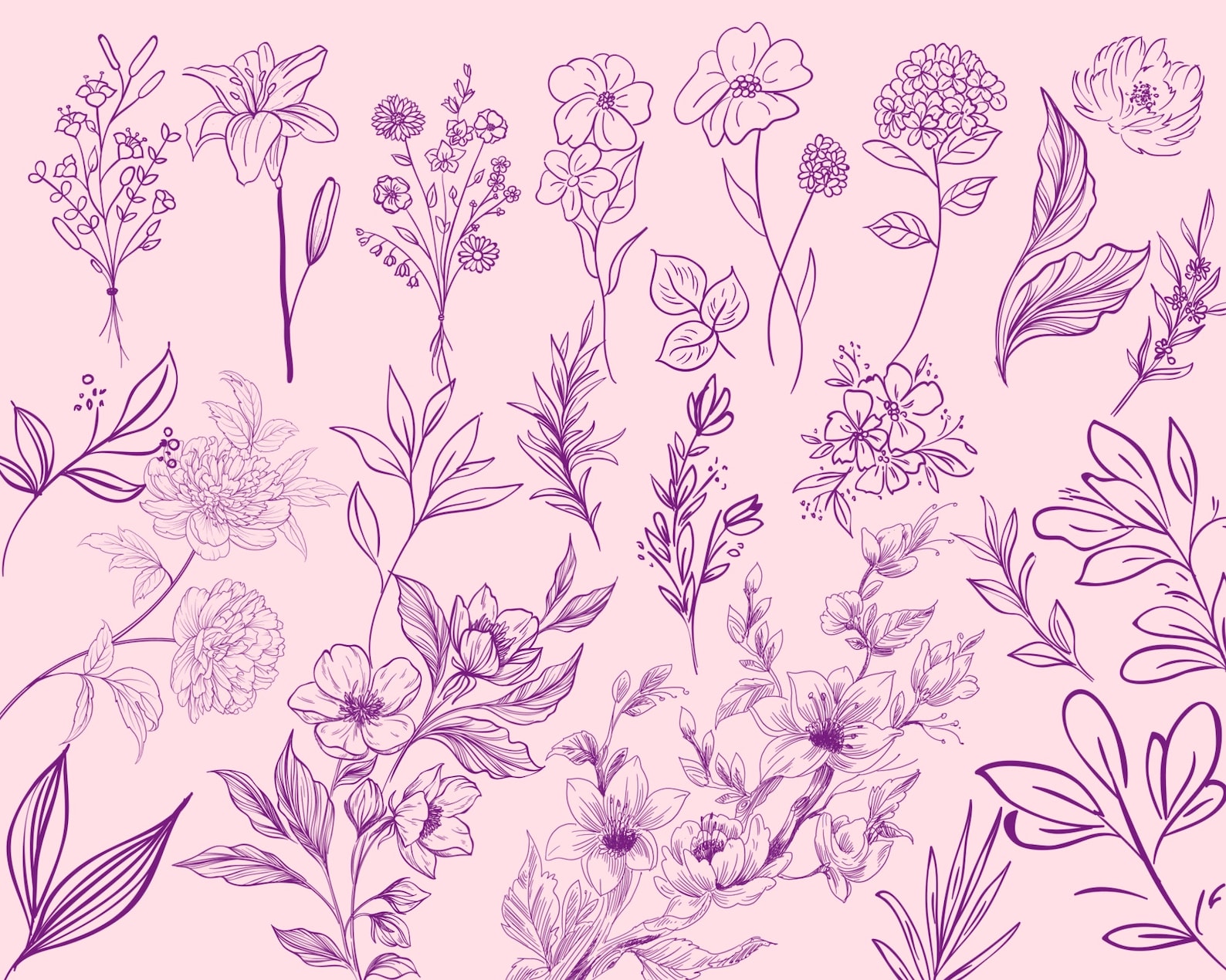 Procreate flowers procreate floral stamps flowers brushes Etsy