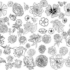 150 Tattoo Flowers Stamps for Procreate, Tattoo Stencil Stamps, Floral ...