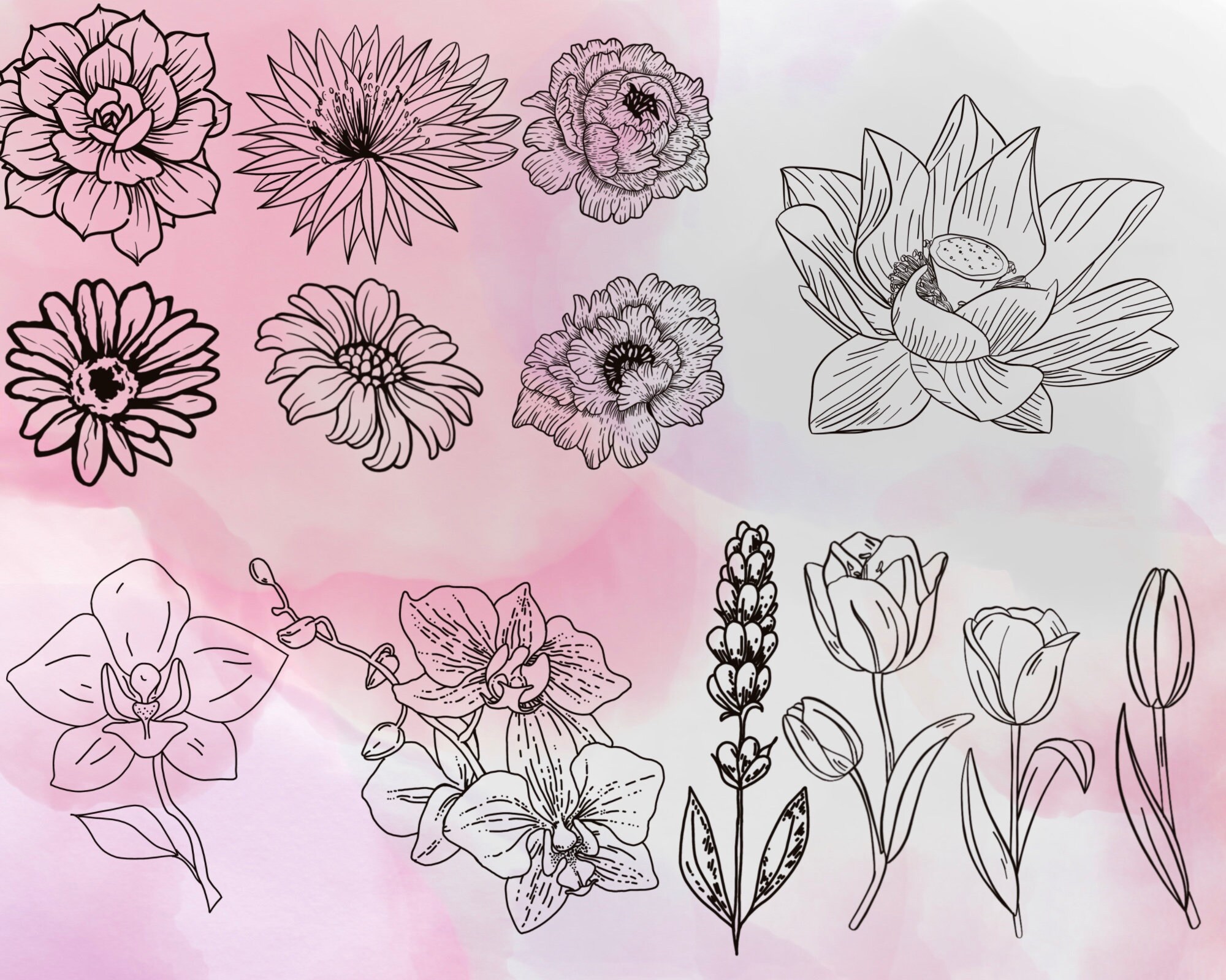 Flowers procreate stamps Floral procreate brushes procreate Etsy