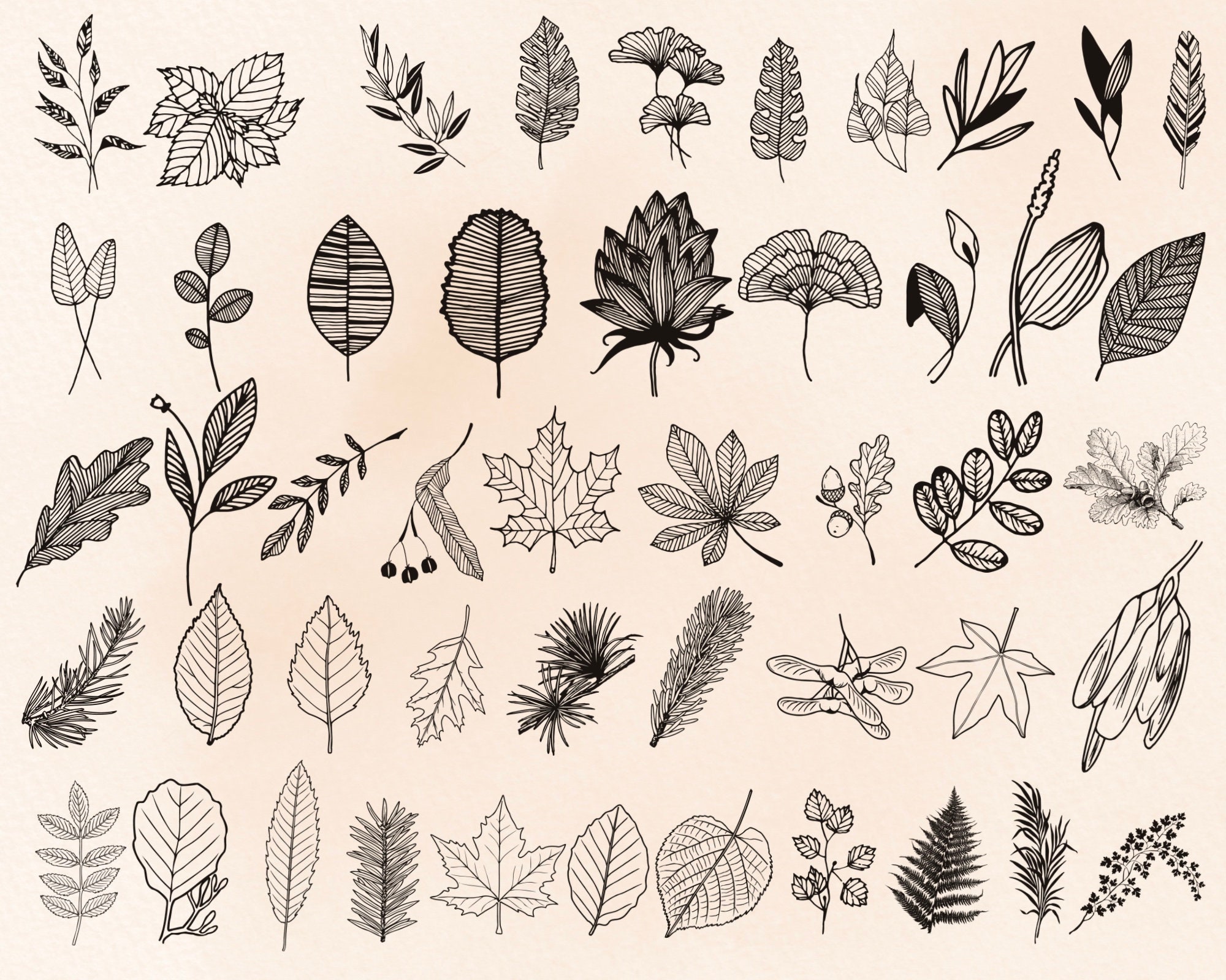240 Tropical Leaf Procreate Stamps | Jungle Botanical Brush Set - Etsy