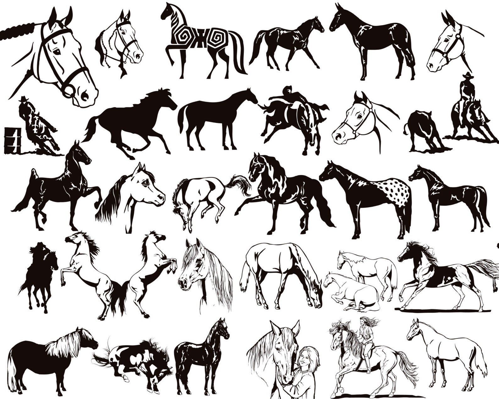 Procreate Horse Stamps Horses Brushes for Procreate Animal Etsy