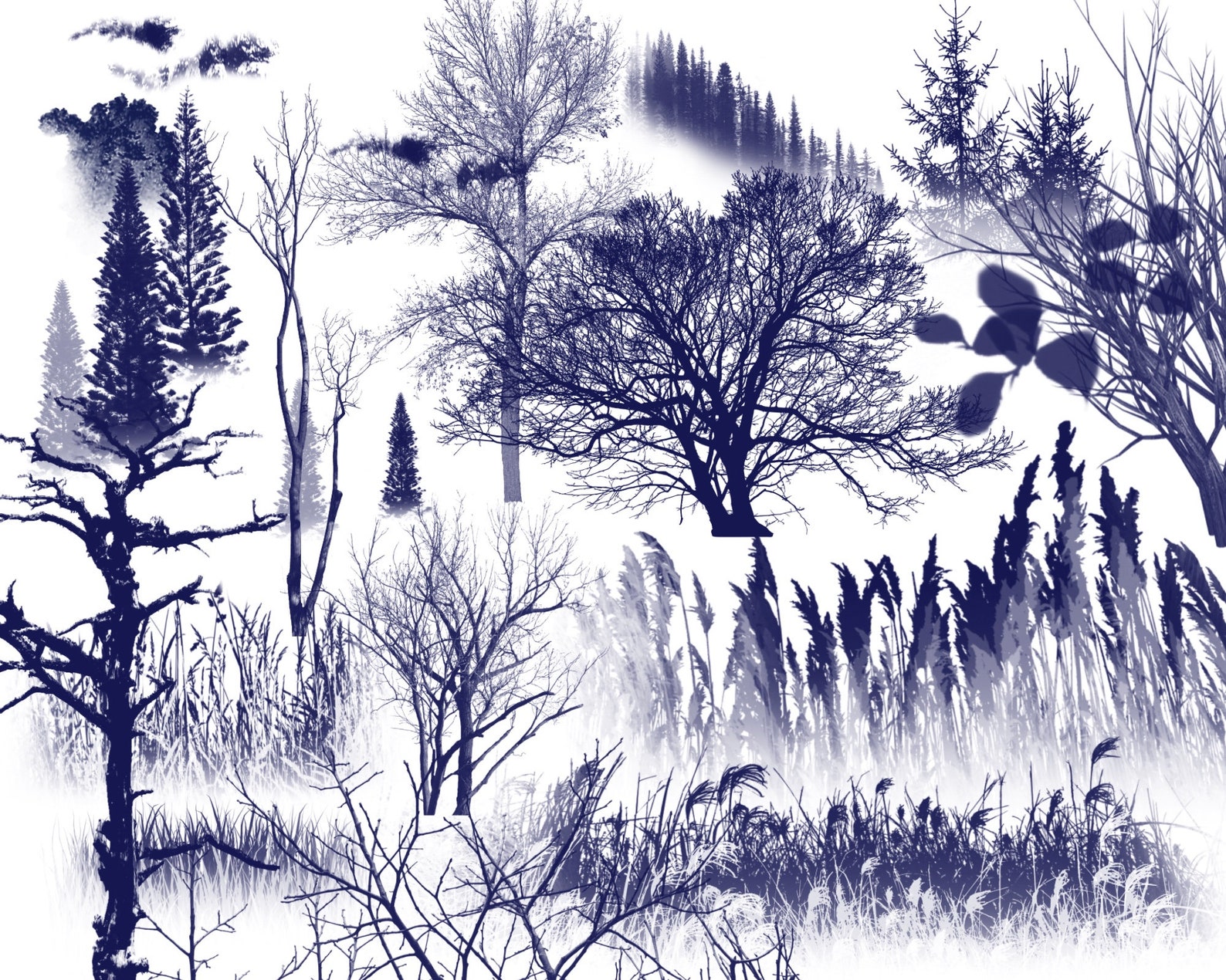 Landscape Brush Set for Procreate, Nature Stamps, Trees Stamps for ...