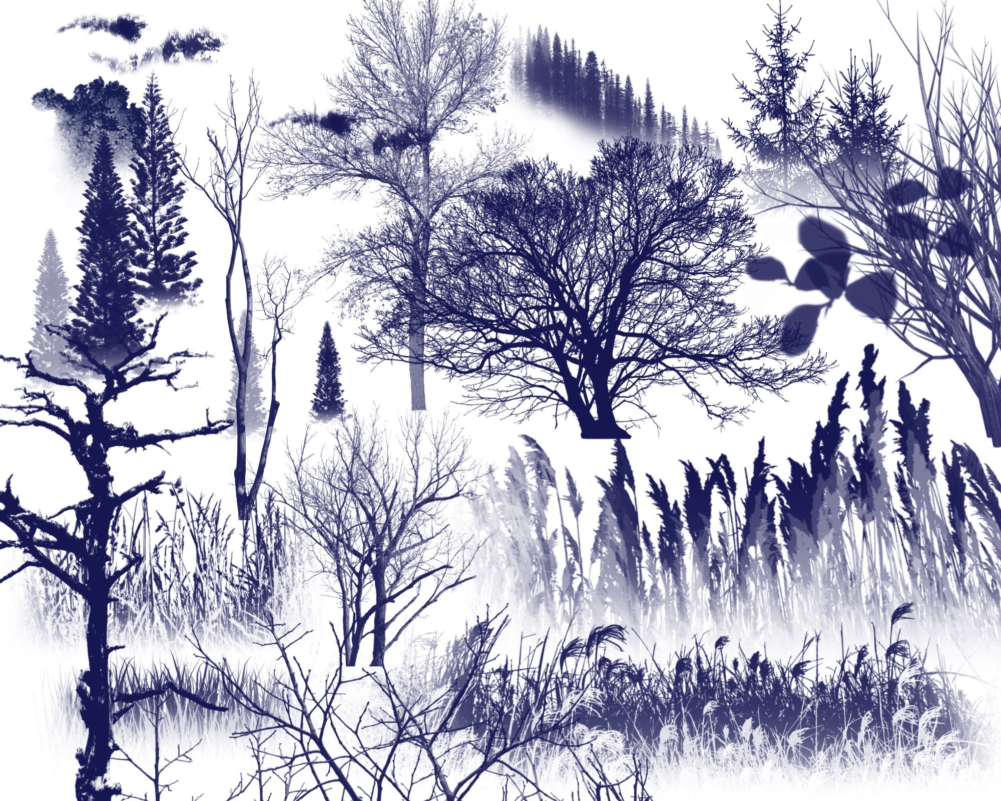 Landscape Brush Set for Procreate Nature Stamps Trees Stamps | Etsy