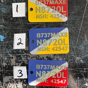 May include: Three metal tags with a red, white and yellow colour scheme. The tags have the text "B737MAX8", "N8720L", and "MSN: 42547" printed on them.