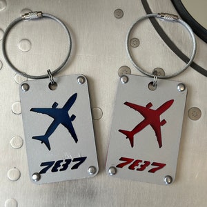 American Airlines livery luggage tags Boeing  787