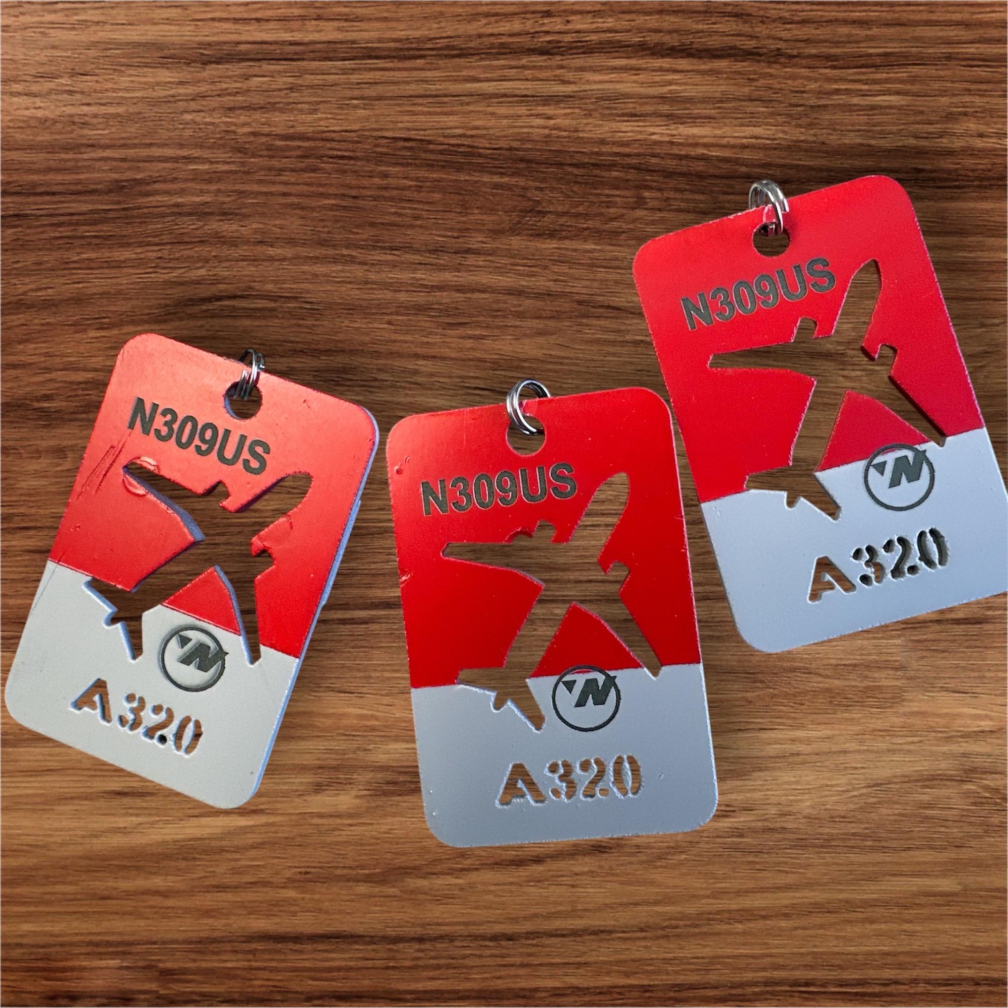 Northwest Airlines Aircraft Skin Luggage Tag N309US