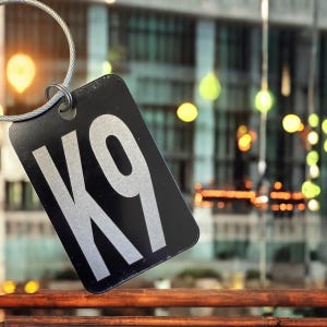 以下が含まれることがあります： 銀色のK9ロゴが付いた黒い金属製のタグ。タグは銀色のチェーンに取り付けられています。