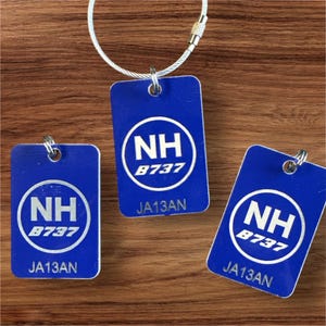 ANA B737 Aircraft Skin key Tags JA13AN