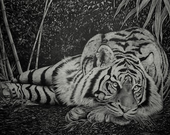 Bamboo Tiger Pencil Drawing