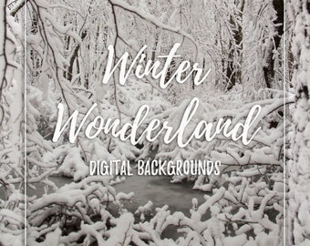 Winter Wonderland Digital-Hintergrund für Fotografen