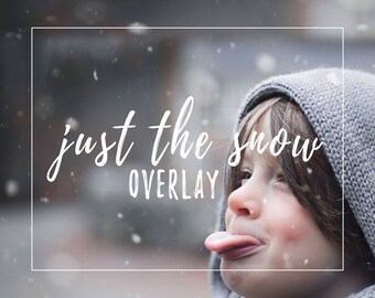 Winter-Schnee-Overlay für Fotografen