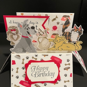 Cats & dogs birthday card