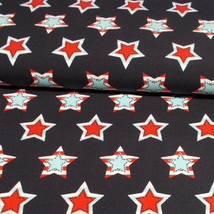 Könnte beinhalten: Dunkelblauer Stoff mit einem sich wiederholenden Muster aus roten und weißen Sternen. Jeder Stern hat einen weißen Rand und eine hellblaue Mitte mit einem genähten Design. Geeignet für verschiedene Bastelprojekte.