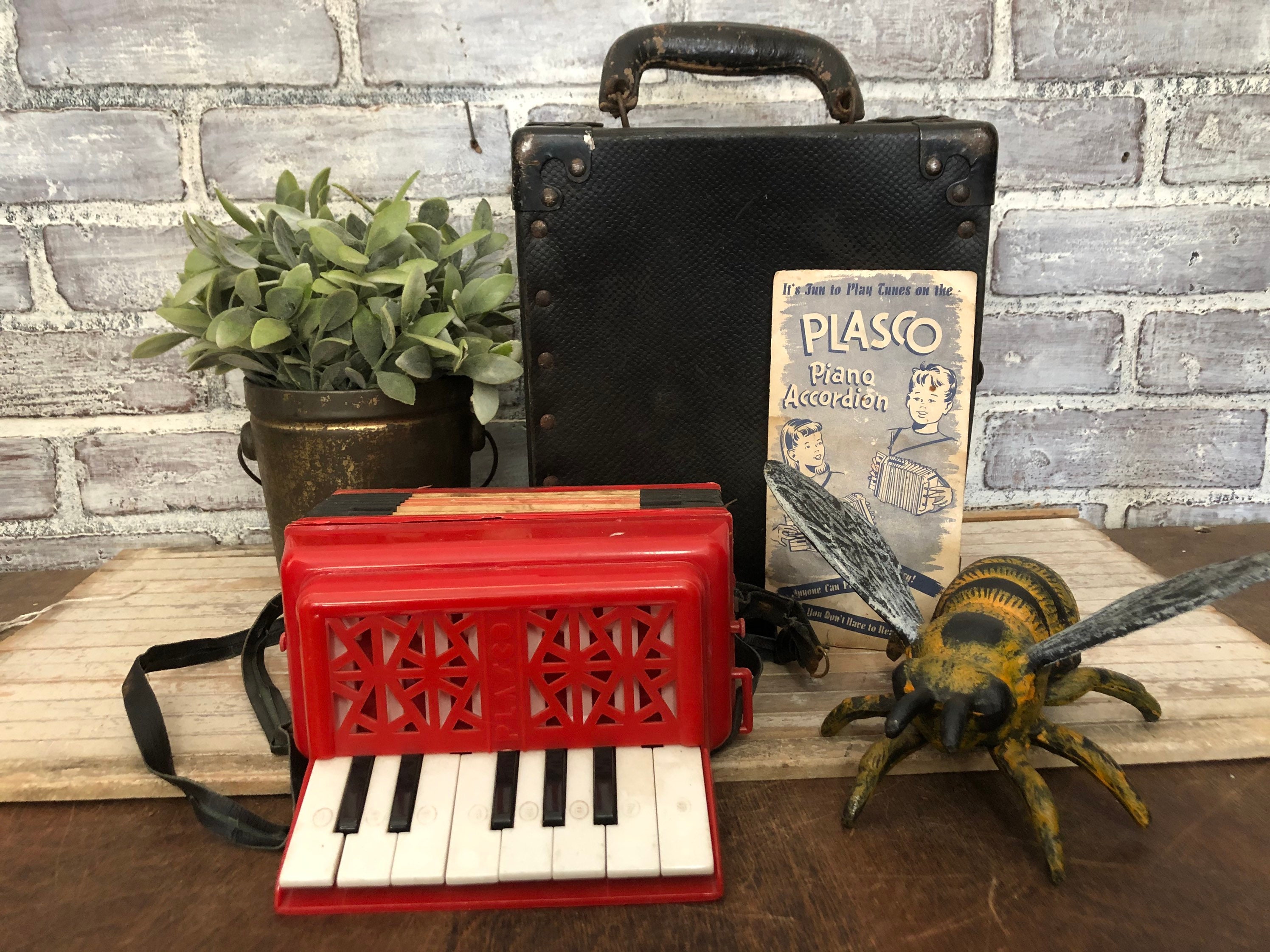 Accordion Case for sale Only 2 left at 75