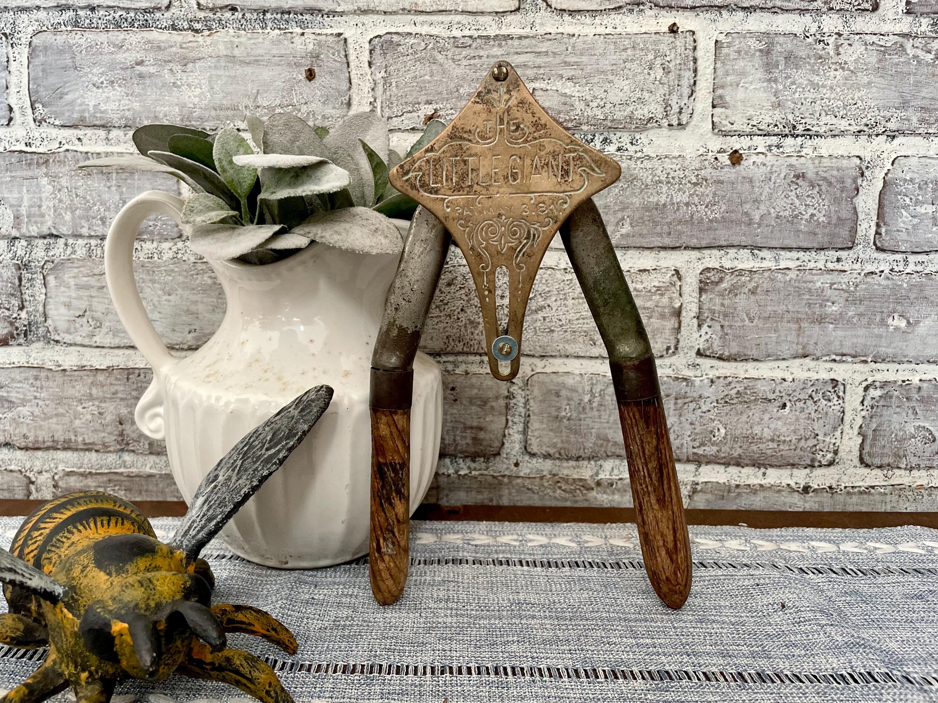 Antique Metal Juicer - Etsy