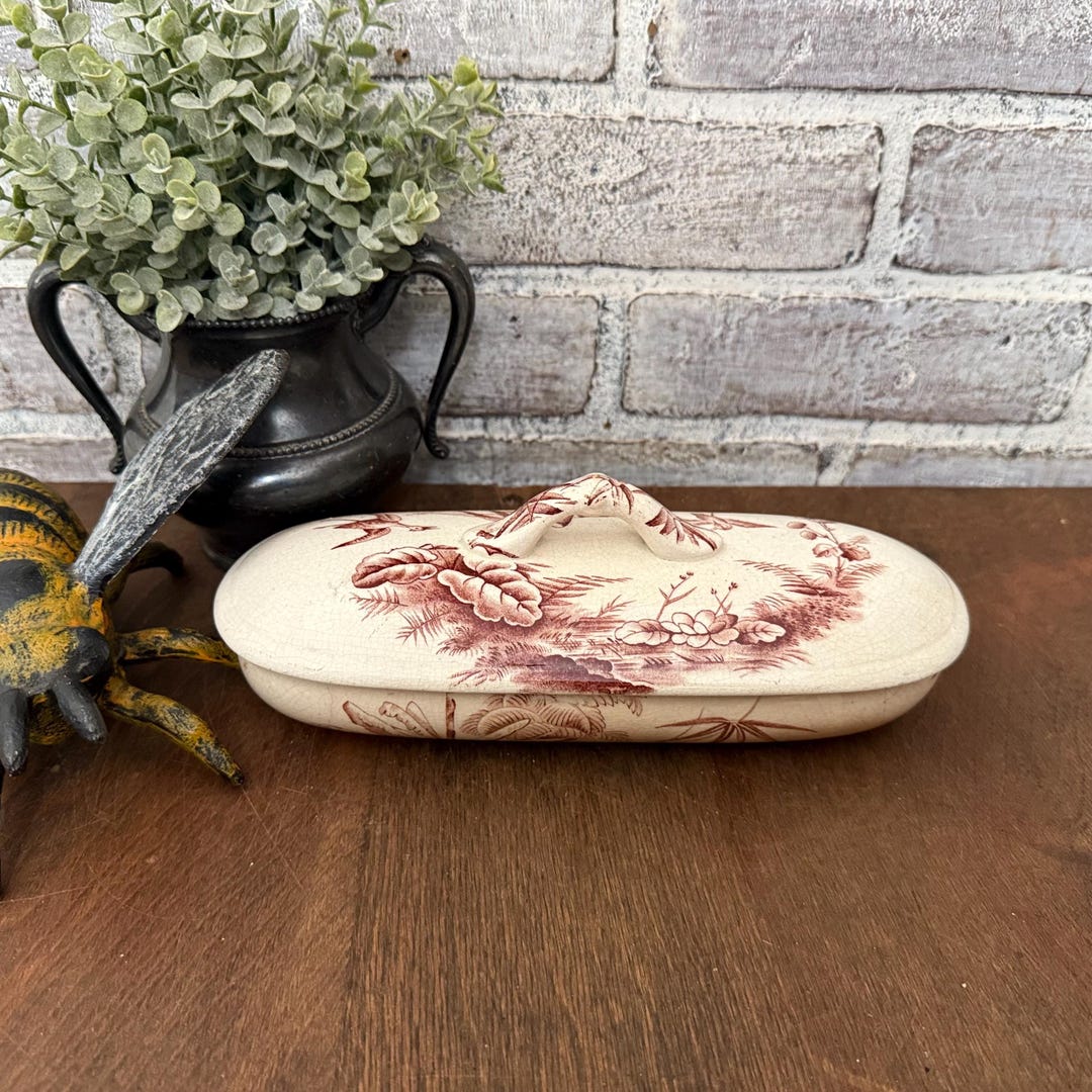 Indian D.B. Co Red Transferware Razor Box | Antique Victorian ...