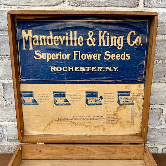 Vintage Mandeville & King Flower Seeds Display Box: Antique