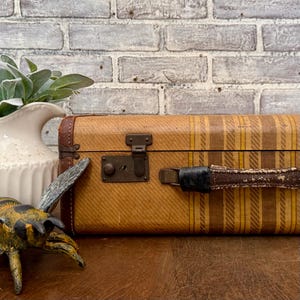 May include: A vintage suitcase with a brown and yellow striped pattern. The suitcase has brown leather trim, a metal clasp, and a leather handle. A decorative bee figurine and a white jug with greenery are in the foreground.