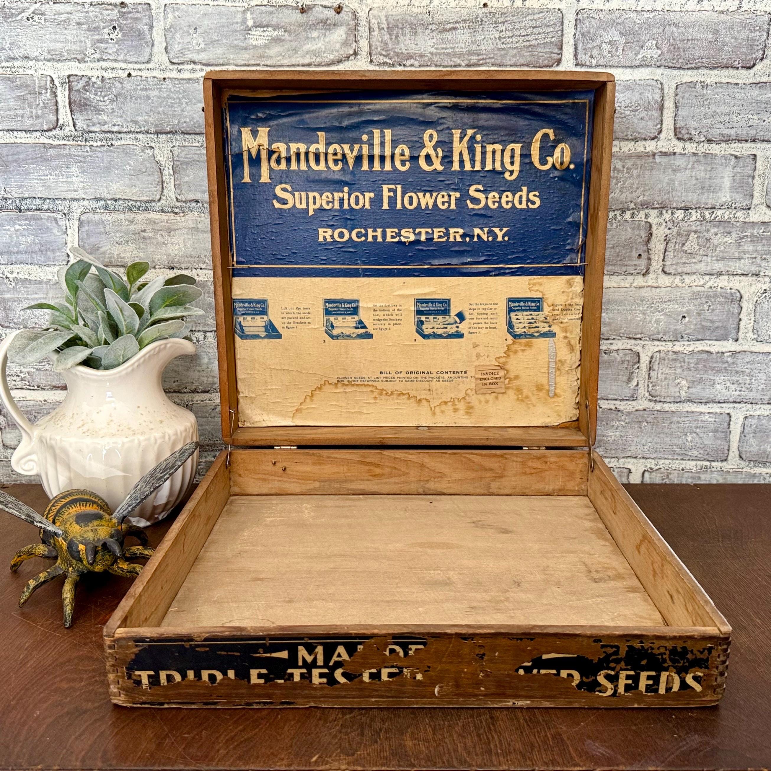 Vintage Mandeville & King Flower Seeds Display Box: Antique