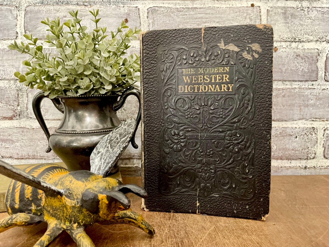 sters Modern Dictionary for Home & School Self Pronouncing Embossed