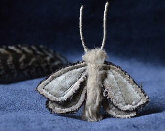 Borboleta dourada noturna elegante presente inseto traça broche feito à mão joia macia única arte
