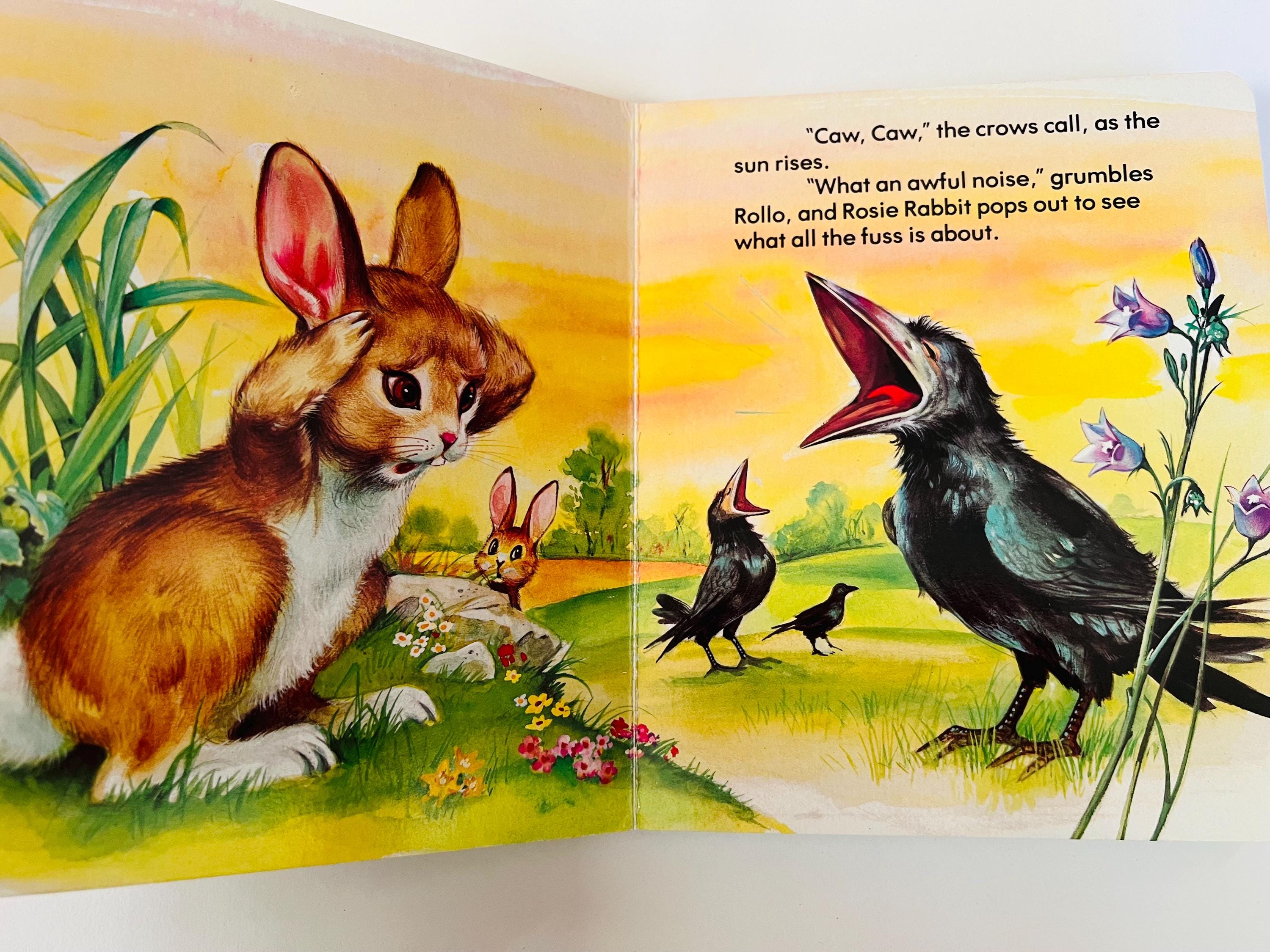 Meet The Rabbit Book Vintage Children's Book Our Friends the Rabbits Vintage Hardboard Book ...