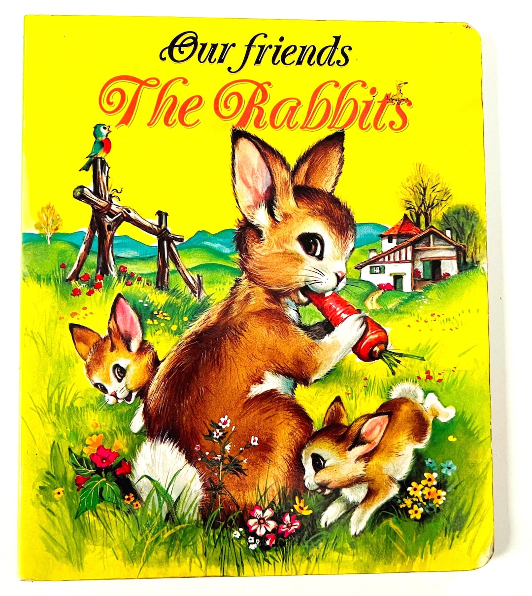 Our Friends the Rabbits Vintage Hardboard Book Children's Picture ...