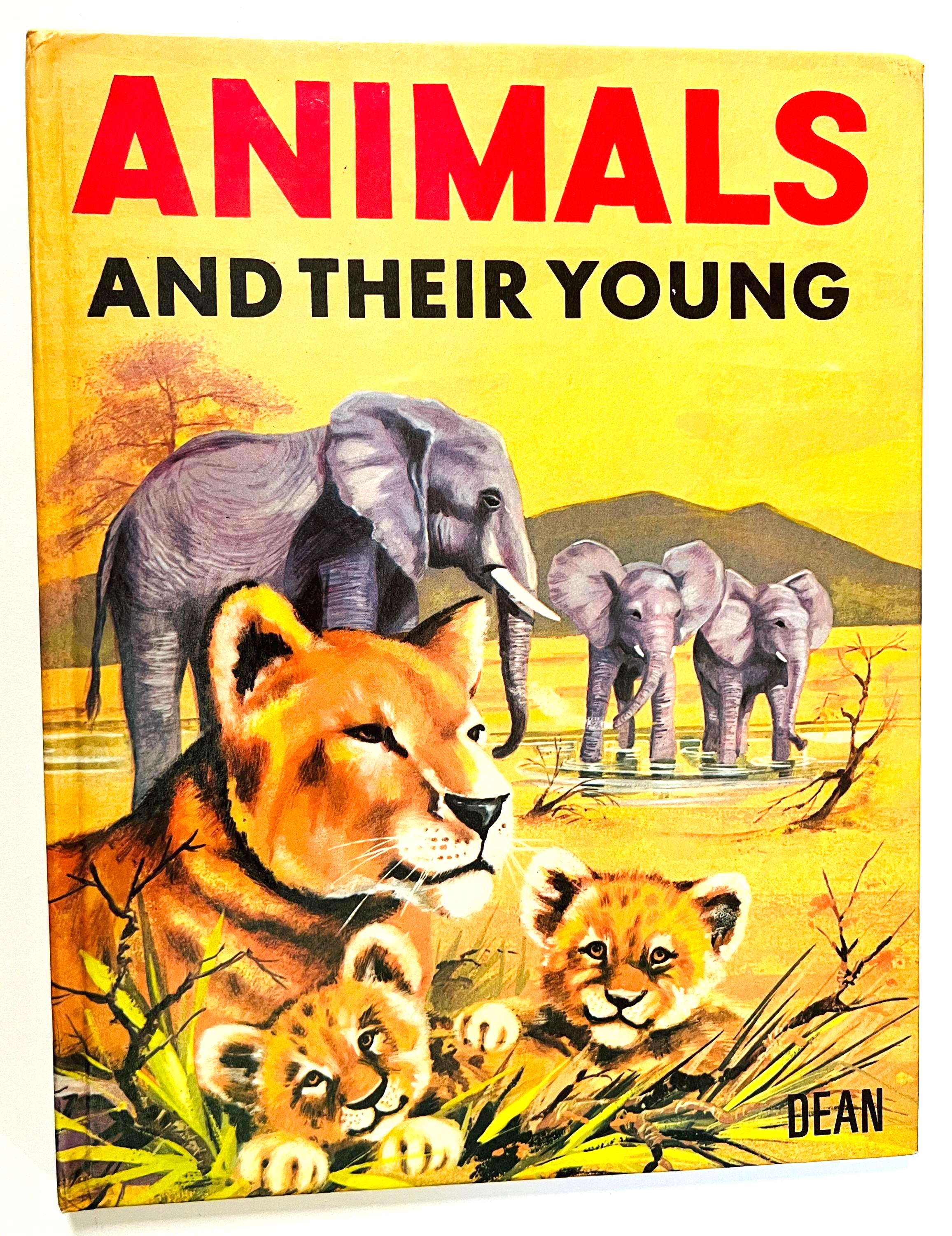 Animals and Their Young: Vintage Children's Book 1977 Dean & Son