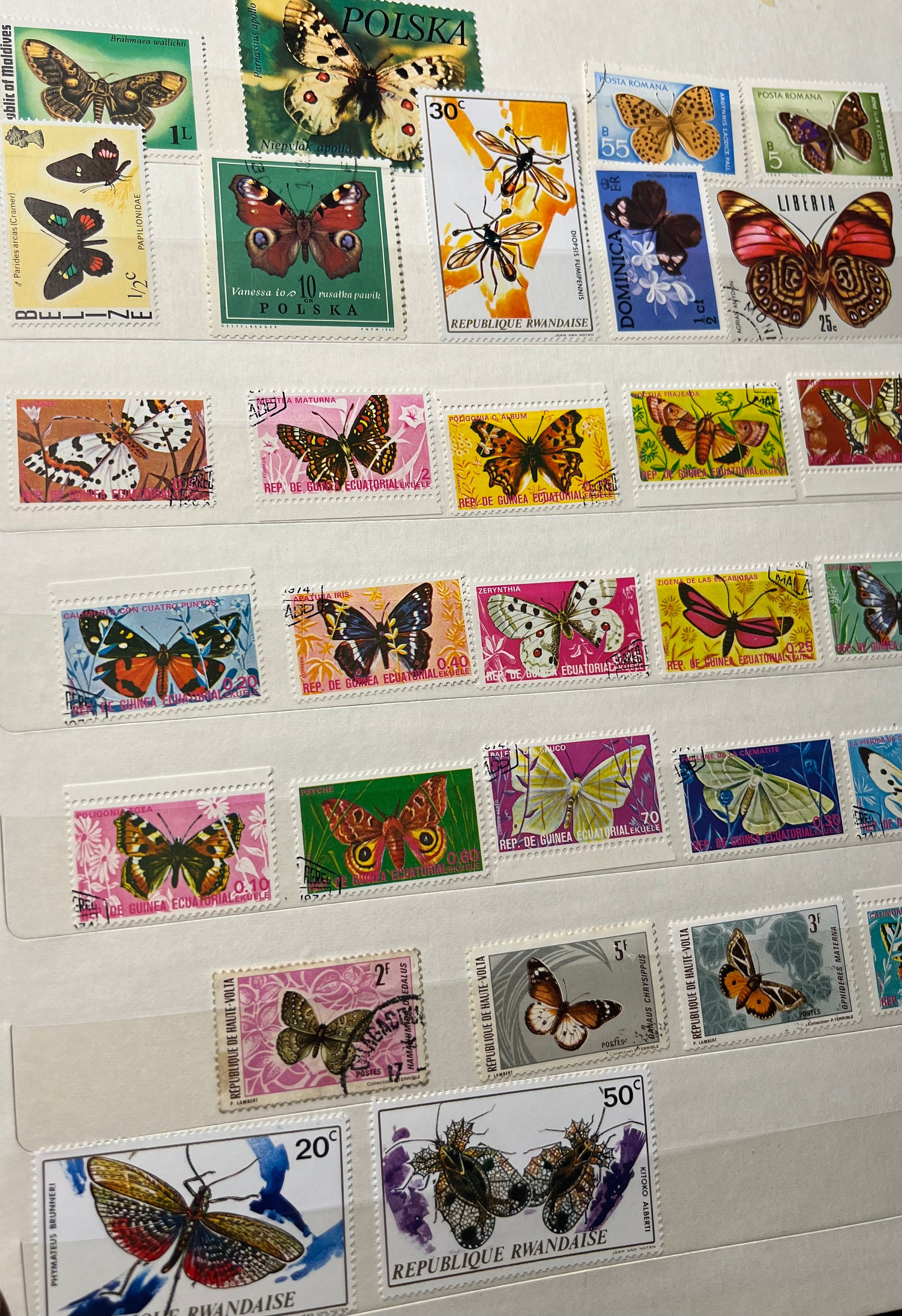 Topical African butterfly stamp adds a valuable piece to your collection