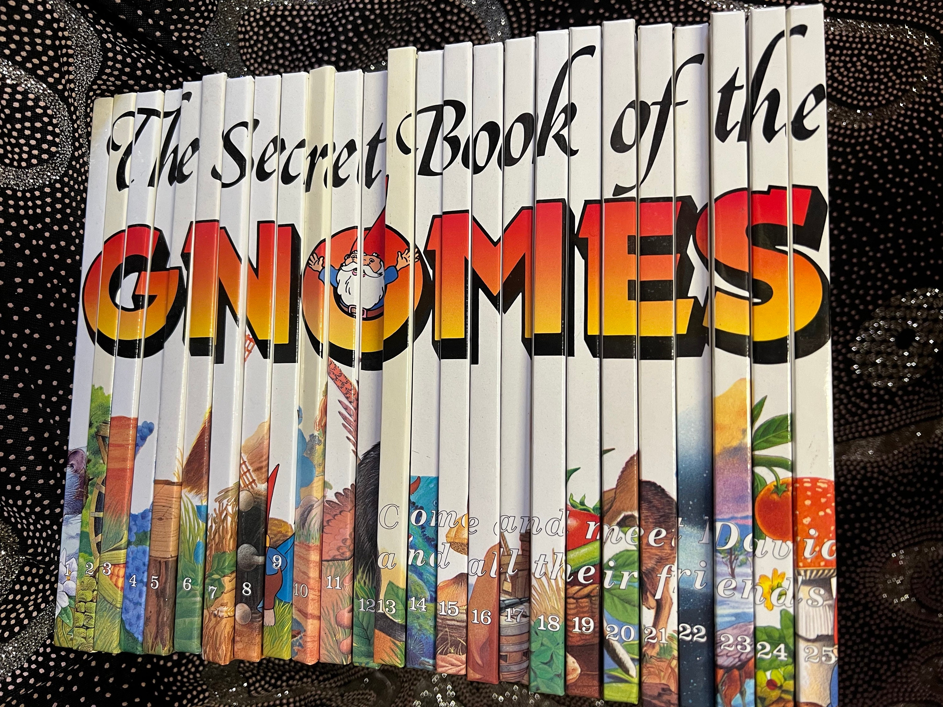 The Secret Book of the Gnomes 25 Volume Set From 1 to 25 in Lovely